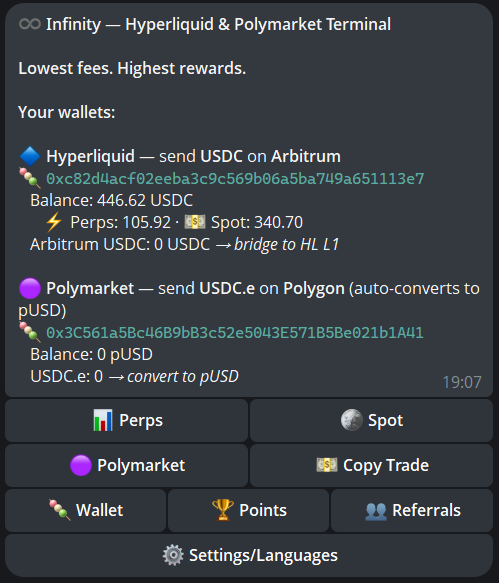 Infinity main menu — wallets and all features