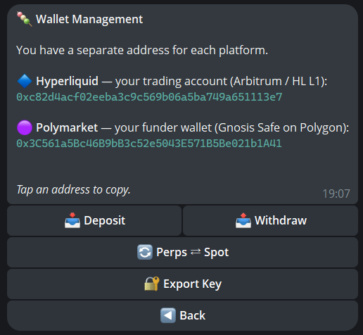 Wallet management — deposit, withdraw, transfer, export key